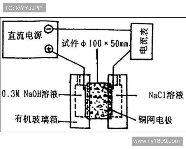 重庆排球队边路渗透战术分析及其对比赛结果的影响探讨 重庆排球队边路渗透战术分析及其对比赛结果的影响探讨
