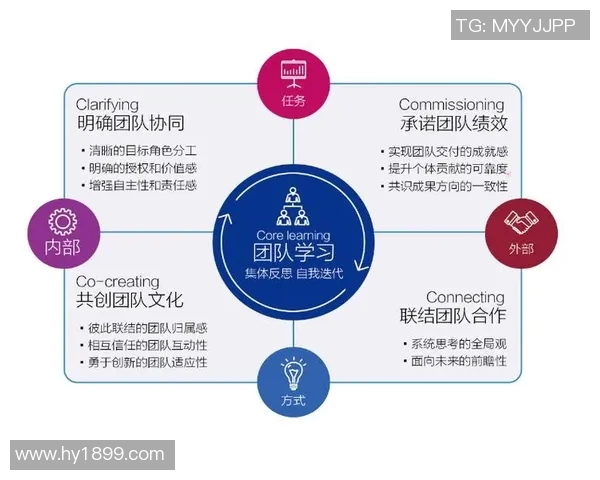 数据分析揭示TES团队协作表现的优势与不足之处 数据分析揭示TES团队协作表现的优势与不足之处