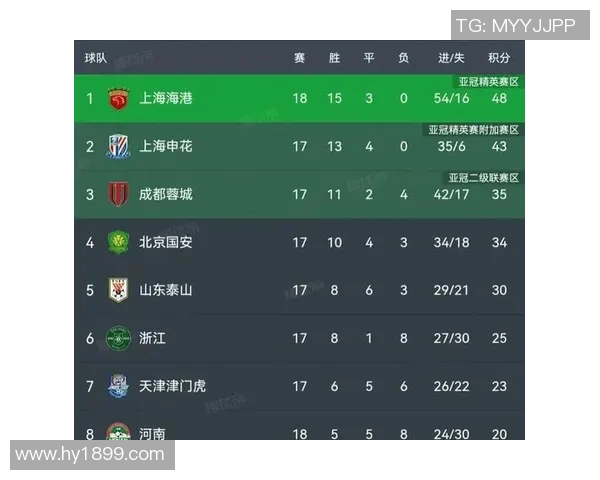 武汉足球队在挑战赛中以89分稳居积分榜首位，展现强劲实力