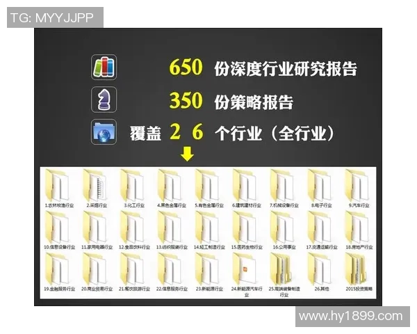 武汉篮球队的控制策略与发展前景深度解析 武汉篮球队的控制策略与发展前景深度解析
