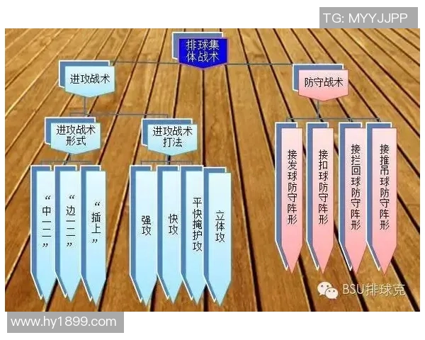 深入分析重庆排球队中路突破战术的优势与应用策略