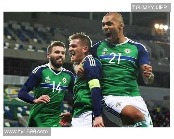 北爱尔兰与挪威比赛水位分析及投注建议探讨