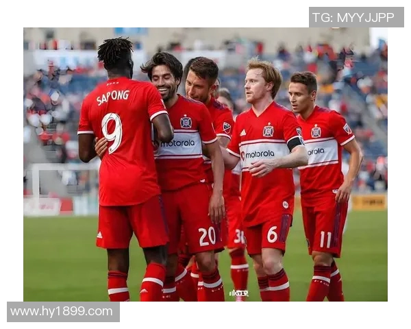 芝加哥与新英格兰对决谁能胜出精彩分析与预测