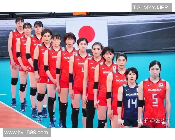 武汉排球队的运营揭秘：深度解析排球运动背后的故事与策略